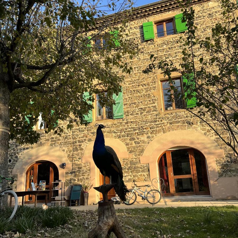 Domaine De Pipangaille Bed and Breakfast Andancette Buitenkant foto