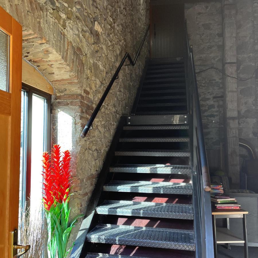 Domaine De Pipangaille Bed and Breakfast Andancette Buitenkant foto