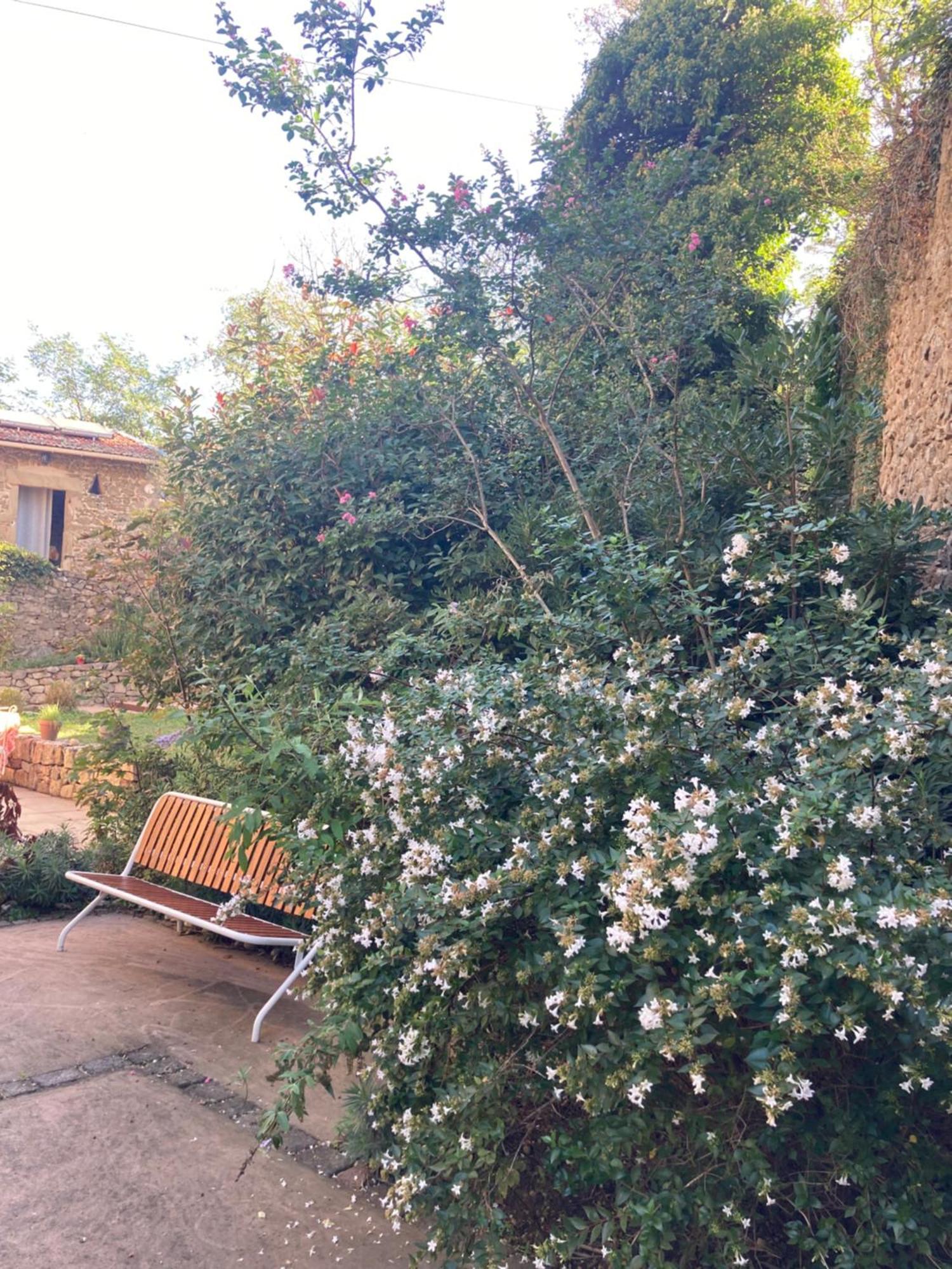 Domaine De Pipangaille Bed and Breakfast Andancette Buitenkant foto